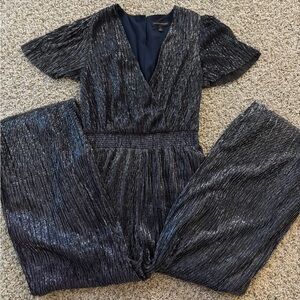 Banana Republic Shimmering Navy Jumpsuit